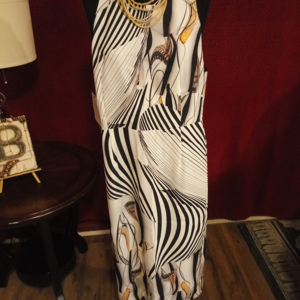 Gourgeous Clover canyon dress